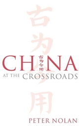  China at the Crossroads