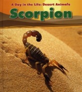  Scorpion