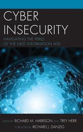  Cyber Insecurity