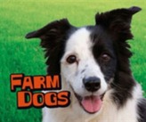  Farm Dogs