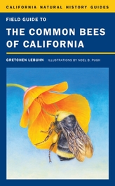  Field Guide to the Common Bees of California
