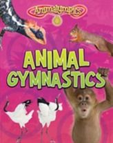  Animal Gymnastics