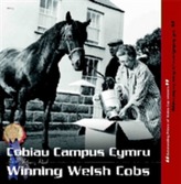  Cobiau Campus Cymru / Winning Welsh Cobs