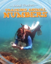  Tracking Animal Numbers