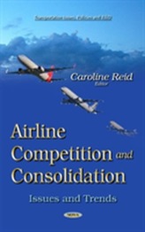  Airline Competition and Consolidation