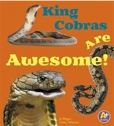  King Cobras Are Awesome!