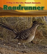  Roadrunner