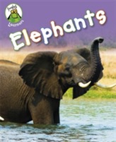  Froglets: Learners: Elephants