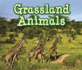  Grassland Animals