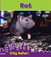  Rat