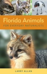  Florida Animals for Everyday Naturalists