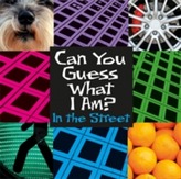  Can You Guess What I Am?: In the Street