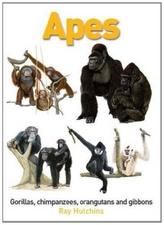  Apes: Gorillas, Chimpanzees, Orangutans and Gibbons