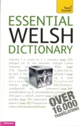  Essential Welsh Dictionary: Teach Yourself