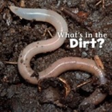  What's in the Soil?