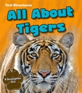  All About Tigers