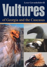  Vultures of Georgia and Caucasus