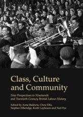  Class, Culture and Community: New Perspectives in Nineteenth and Twentieth Century British Labour History