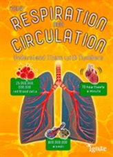  Your Respiration and Circulation