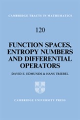  Function Spaces, Entropy Numbers, Differential Operators