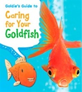  Goldie's Guide to Caring for Your Goldfish