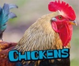  Chickens