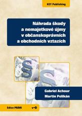 Náhrada škody a nemajetkové ujmy v občanskoprávních a obchodních vztazích