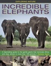  Exploring Nature: Incredible Elephants