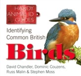 Identifying Common British Birds