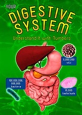  Your Digestive System