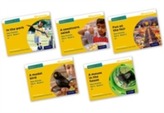  Read Write Inc. Phonics: Yellow Set 5 Non-fiction Mixed Pack of 5