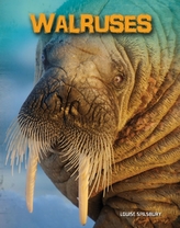  Walruses