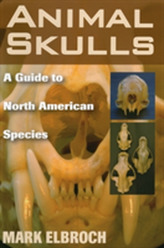  Animal Skulls