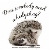  Does Somebody Need a Hedgehug?
