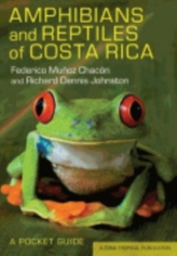  Amphibians and Reptiles of Costa Rica