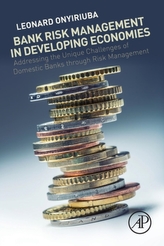  Bank Risk Management in Developing Economies