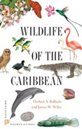  Wildlife of the Caribbean