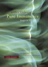 Pure Immanence