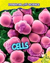  Cells