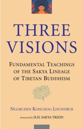 Three Visions