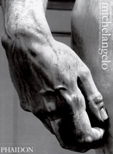  Michelangelo