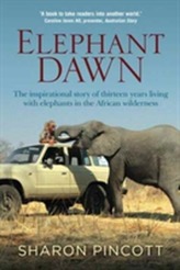  Elephant Dawn