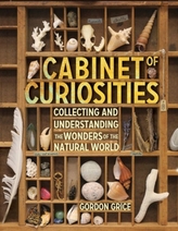  Cabinet Of Curiosities