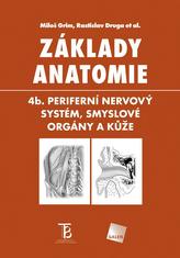 Základy anatomie. 4b. Periferní nervový systém, smyslové orgány a kůže