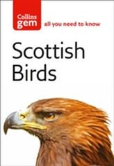 Scottish Birds