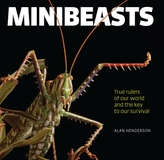  Minibeasts