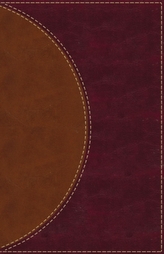  Amplified Reading Bible, Leathersoft, Brown