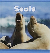  Seals