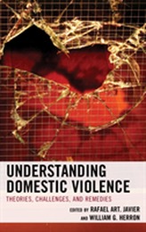  Understanding Domestic Violence