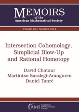  Intersection Cohomology, Simplicial Blow-Up and Rational Homotopy